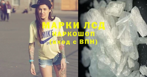 СК Алексин