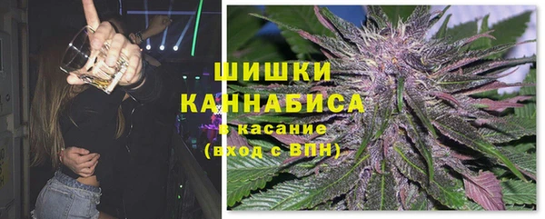молекула духа Алексеевка