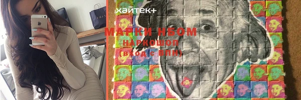 СК Алексин