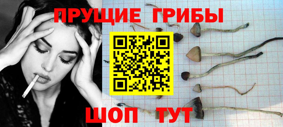 Псилоцибиновые грибы Cubensis Евпатория