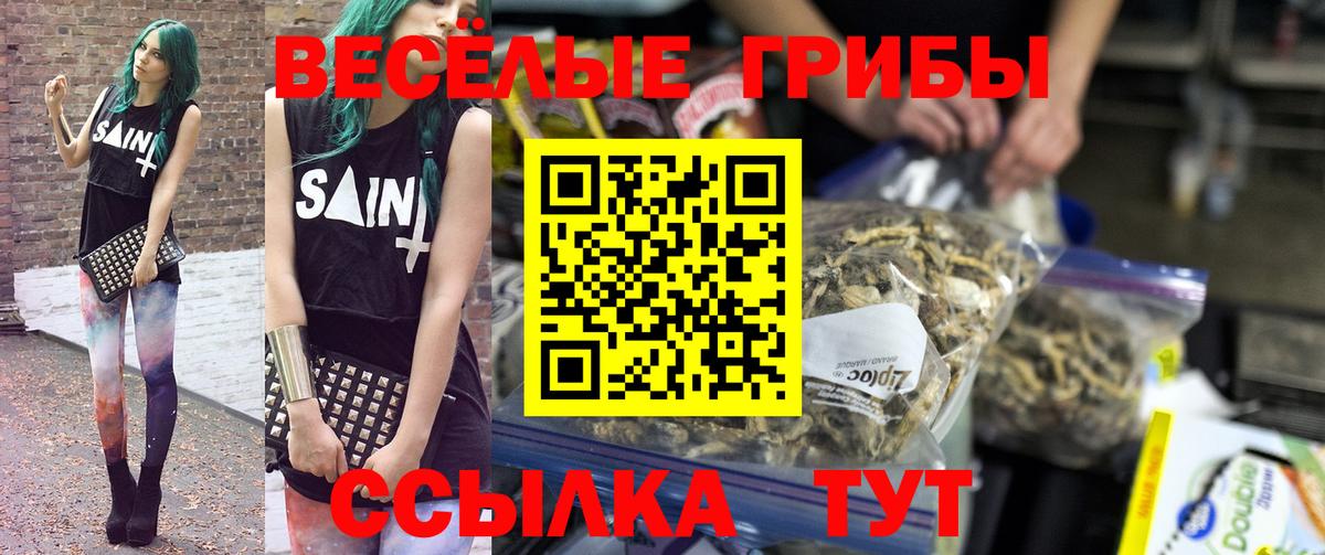как найти   Вход с VPN  Евпатория  Псилоцибиновые грибы Magic Shrooms 