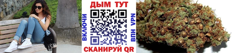 OMG ONION  где продают наркотики  Евпатория  Марихуана сатива 